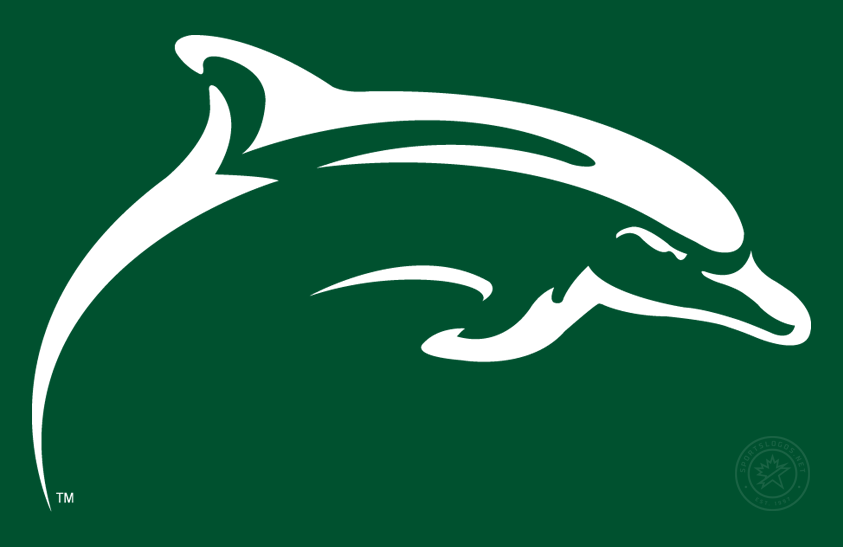 Le Moyne Dolphins 2008-Pres Secondary Logo v4 diy iron on heat transfer